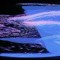 djNøya