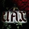 Darko_