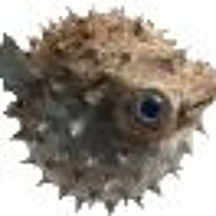 Eli333