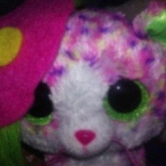 🎀PETSHOP🐾🧁FOR🍼PRINCESSES🎀👑