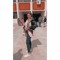 doniahamdy711@gmail.com