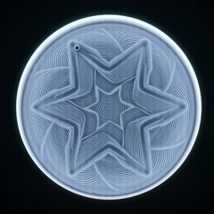 Radula