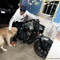 jatt e92