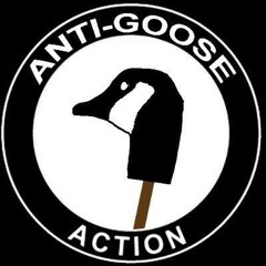 AntiGooseAction