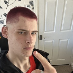 Matty bean
