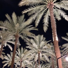 حدثيني يا حبيبة يا مدى القلب