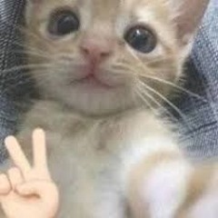 Pai Pai <3