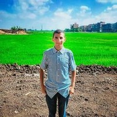 محمد حسن