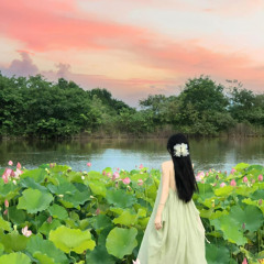 Cẩm Lê