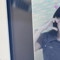 민