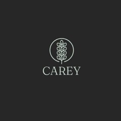 Ralph J. Carey