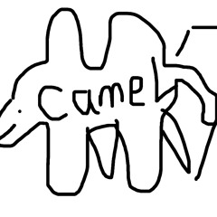CameL7