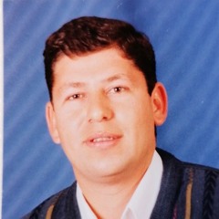 tarek wagih