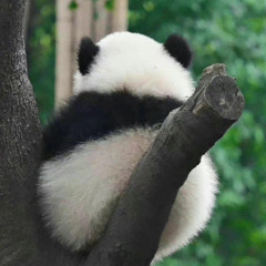 ๐๐๐