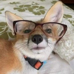 Old Peppy