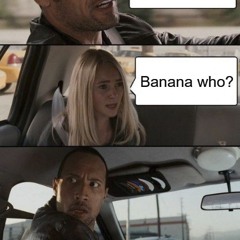 8nit random