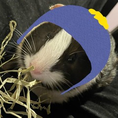 ⋆˙🪵 ─── ...  pCookie-Rät!