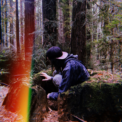 Wildlife Division Guest Mix