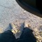 User 220907315