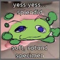 boioinoioinoing