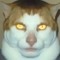 MethangMarkXoan Dit