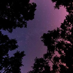 🌌