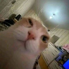 S1m0n
