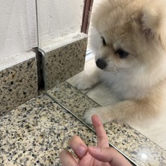 nhạc yêu thích 2