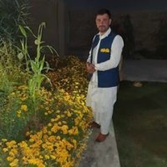 Safeerullah Bashardost