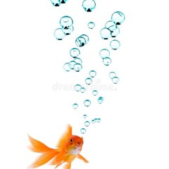 ballinwitbalmains archive