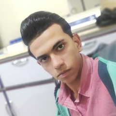 محمد احمد سليمان