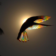 Tujhe Kaise Pata Na Chala