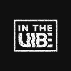 In The Vibe Podcast