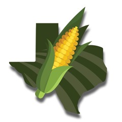 TexasCorn