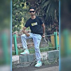 Mohamed Gamal Shawki
