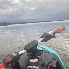 💃Melvin stolt hakfelt💃