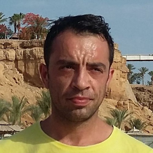 Dario Puleo’s avatar