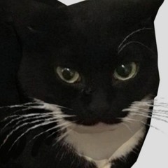 Maxwell the cat