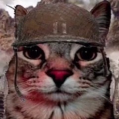 hallo