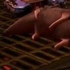 Dead Rat