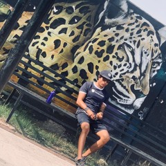 Felino Blanco