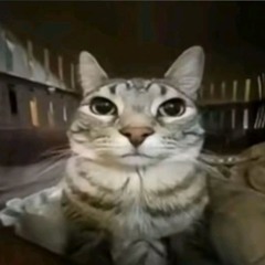 Pablo