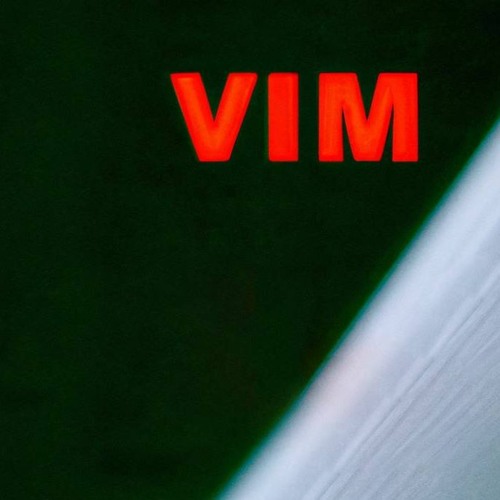 vim’s avatar