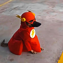 SEQUÊNCIA DE ATABACADA NO RITMO LOUCO DO FLASH [ 170 BPM ] ACELERADO! [ DJ LD DE ENGENHEIRO ] 2026