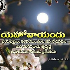 Chigurupati Vineetha