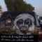 AL HOSANI_2014