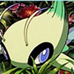 Rotteac_GRRRR