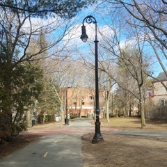 cutlerylobster ⚔️🦞