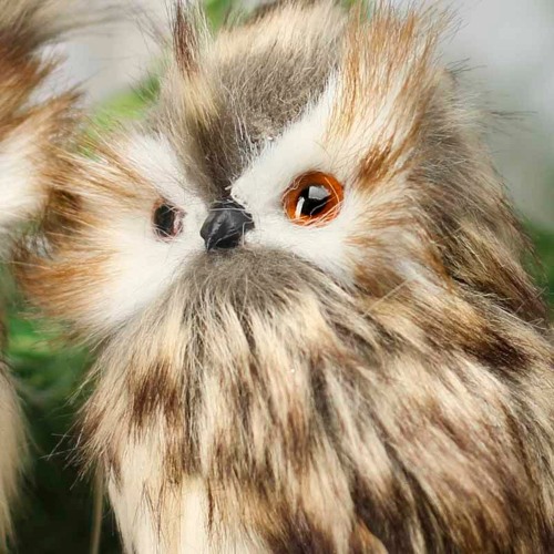 Babu Owl’s avatar