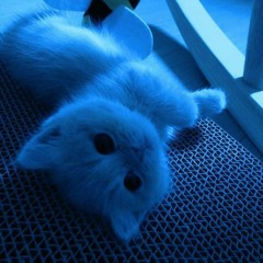 blueringair blueringair